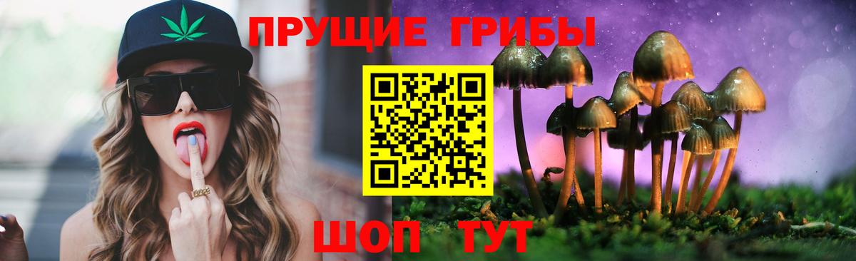 Псилоцибиновые грибы мицелий  как найти закладки  Новокуйбышевск  Вход с VPN 