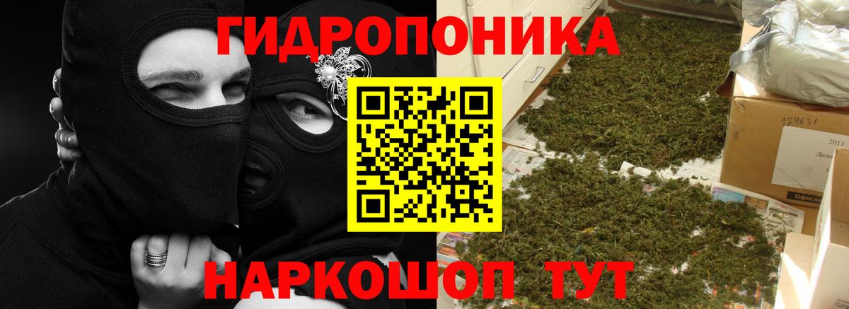 Конопля VHQ Новокуйбышевск